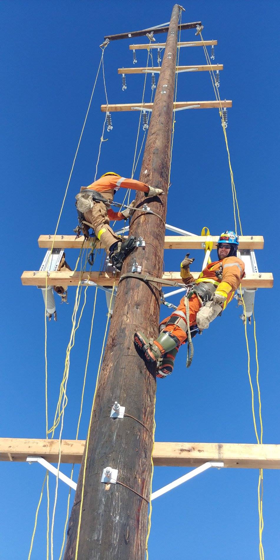 Training That Transfers to the Field — field photograph